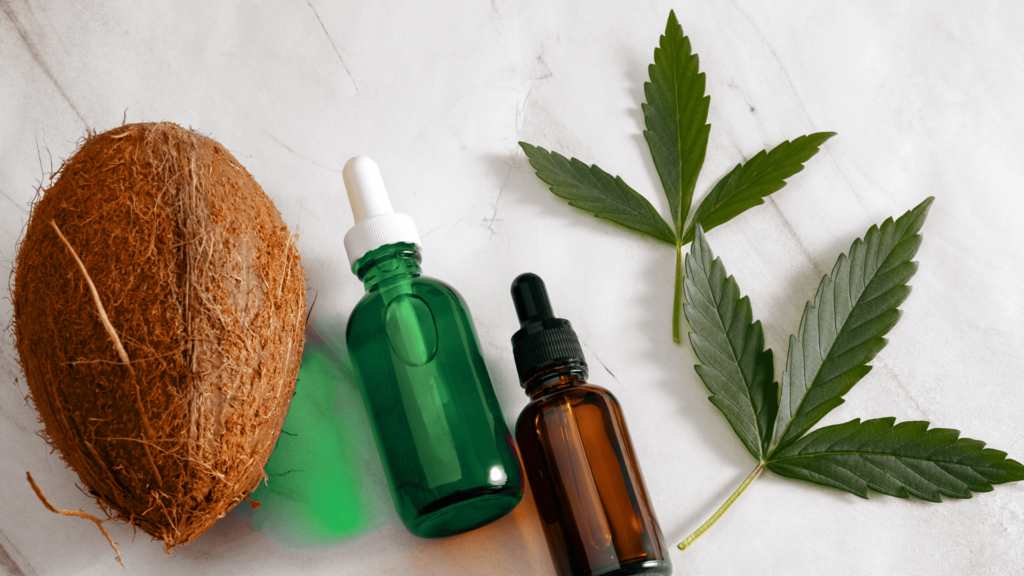 The Benefits Of Cannabis-Infused Coconut Oil
