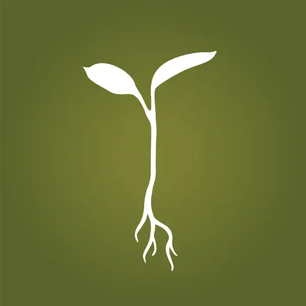RAW GARDEN logo